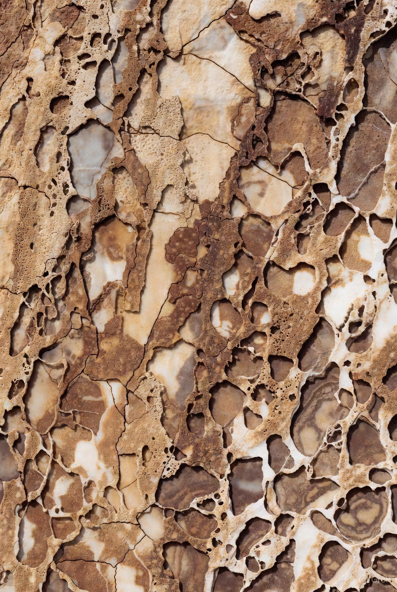 Shop the Coral Collection: The organic sea gem for protection, emotional stability, and vitality. Find unique red, pink, and white jewelry.